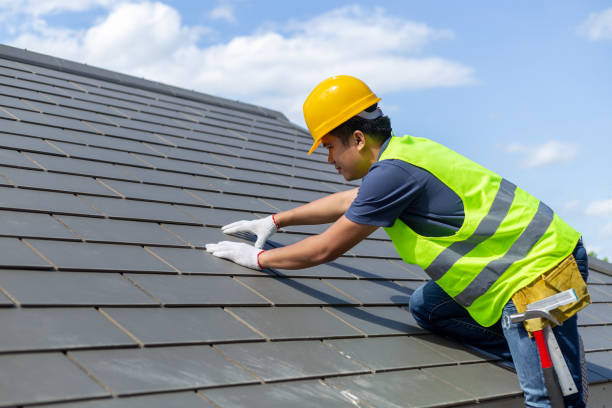 Best Roof Gutter Cleaning  in Suncoast Estates, FL