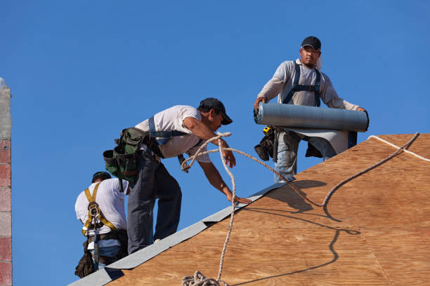 Best Roof Gutter Cleaning  in Suncoast Estates, FL