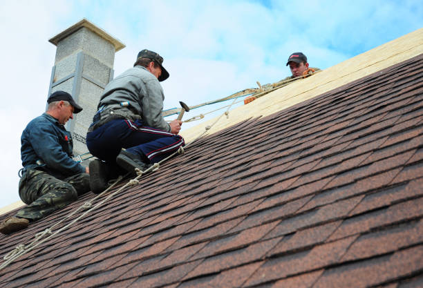 Best Roof Maintenance Services  in Suncoast Estates, FL