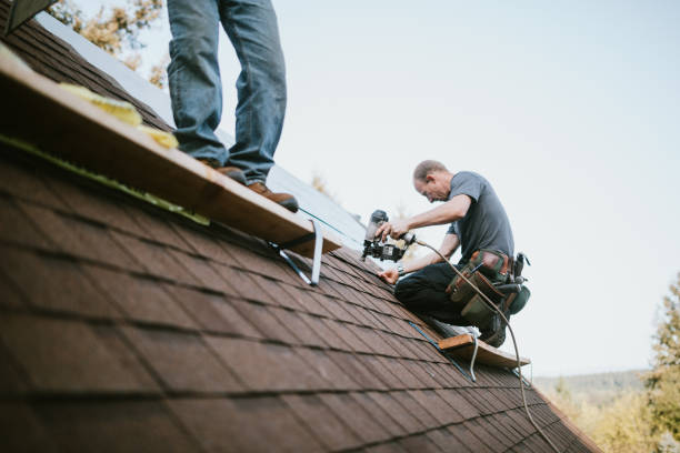 Best Roof Repair Services  in Suncoast Estates, FL